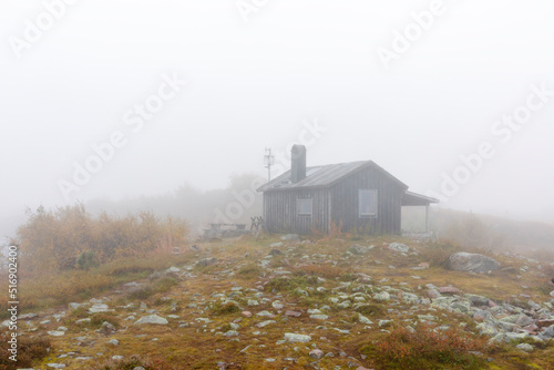 Small tree cabin in fog photo