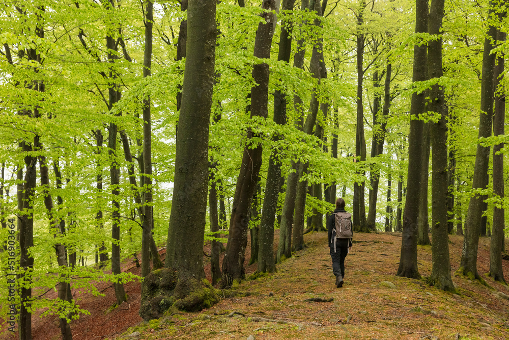 Young woman hiking in forest in Soderasen National Park Sweden Young woman hiking in forest in Soderasen National Park Sweden