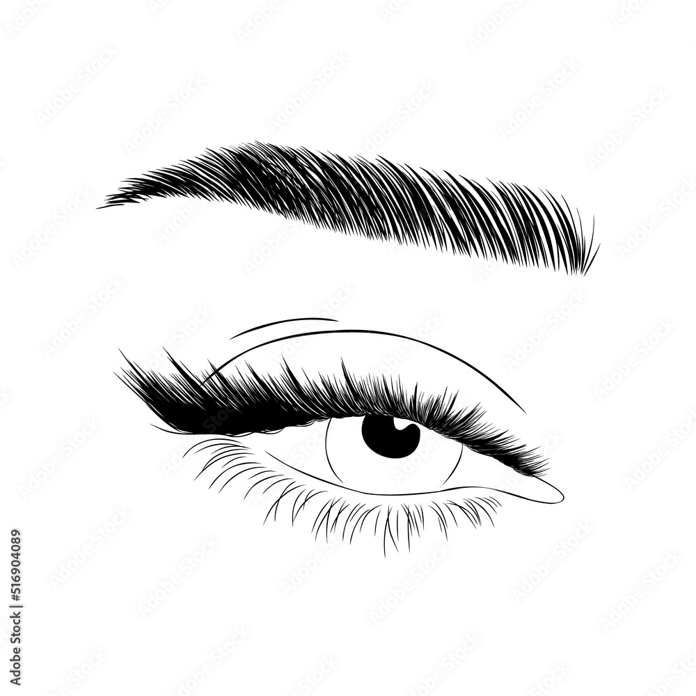 Lashes Person Vector Realistic lashes on white background. Female open eyes and brows ...