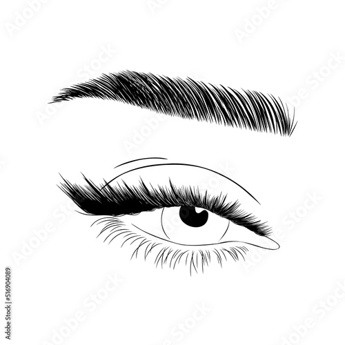 Realistic lashes on white background. Female open eyes and brows. Lamination and extension eyelashes. Beauty studio logo. Linear vector Illustration in trendy minimalist style.