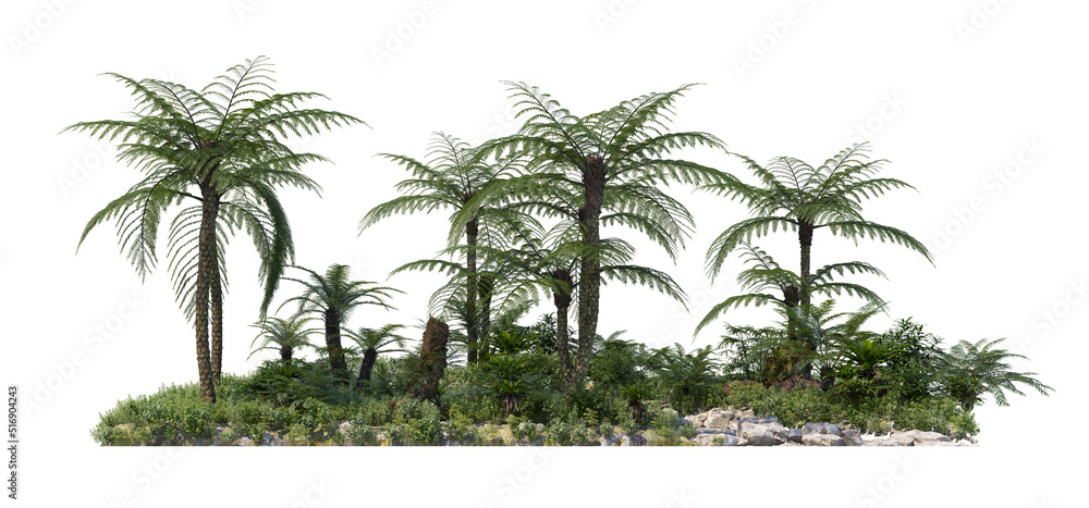 Fototapeta premium Tropical plants and trees beside streams On a white background