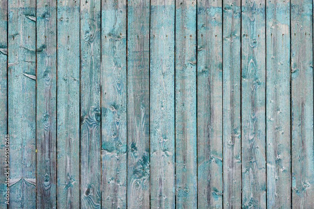 The old fence boards are covered with blue peeling paint. The old fence boards are covered with blue peeling paint.