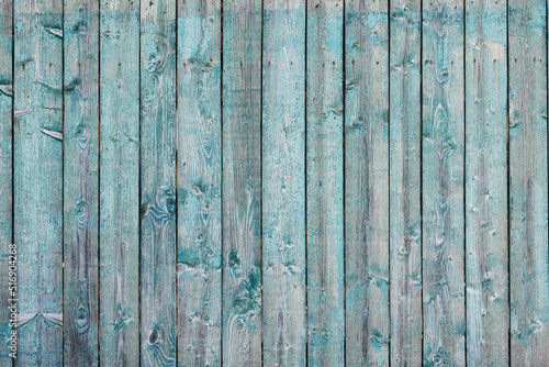 The old fence boards are covered with blue peeling paint.