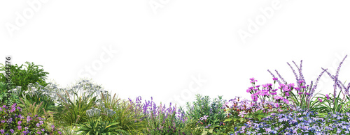 Foreground flowers and grass flowers on a white background