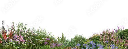 Foreground flowers and grass flowers on a white background