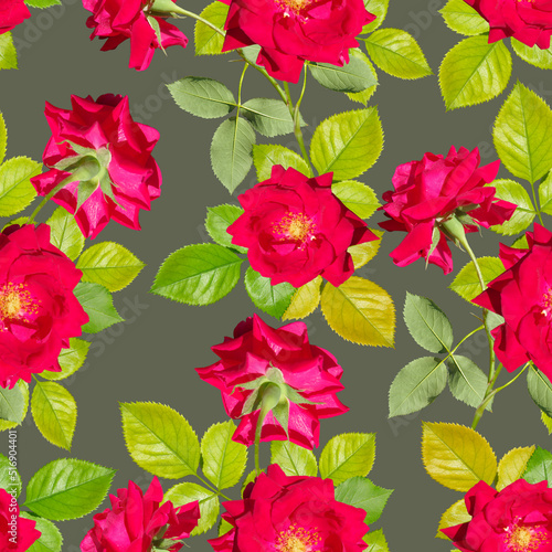 Fototapeta Naklejka Na Ścianę i Meble -  Seamless floral pattern with red roses on a gray background.