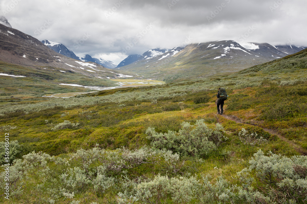 Young woman hiking in Rapa Valley in Sweden Young woman hiking in Rapa Valley in Sweden