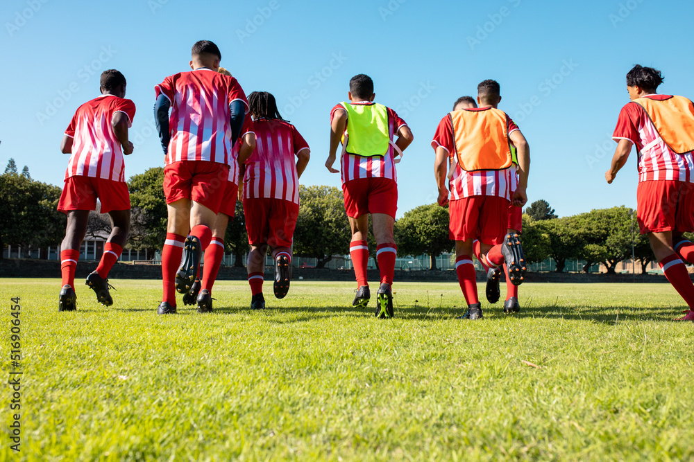 Obraz premium Rear view of male multiracial soccer teammates wearing red uniforms running on grassy field