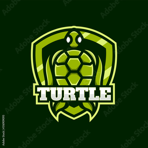 Vector Logo Illustration Turtle E Sport And Sport Style.