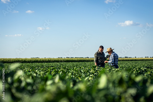 Canvas Print Two farmers in a field examining soy crop.