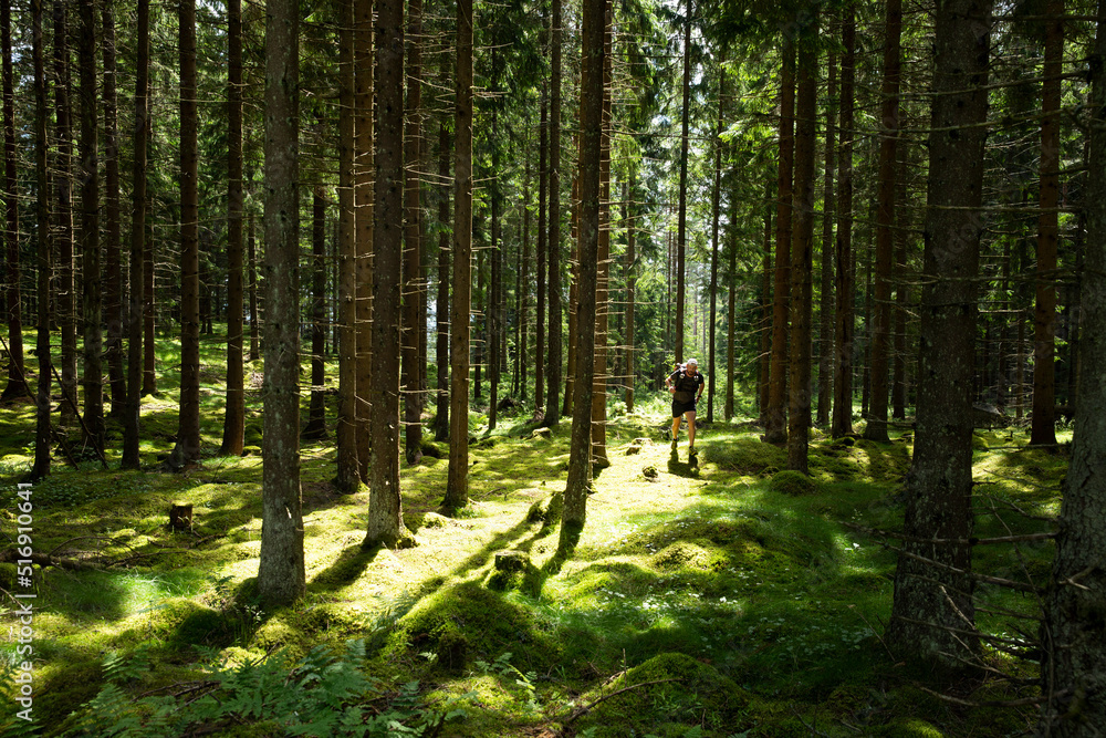 Mature man walking on trail through forest Mature man walking on trail through forest