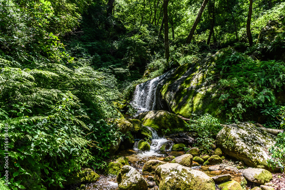 Gushing waterfall in the Great Himalayan National Park also known as GHNP. GHNP is the UNESCO world heritage site & a protected wildlife sanctuary. Gushing waterfall in the Great Himalayan National Park also known as GHNP. GHNP is the UNESCO world heritage site & a protected wildlife sanctuary.