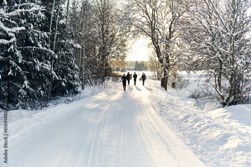 People walking on snow covered road between trees People walking on snow covered road between trees