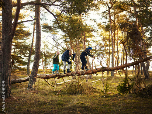 Mother and children climbing tree