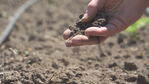 Dry earth in farmer's hand. Dry season.