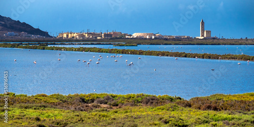 Las Salinas Ornithological Viewpoint, Salinas de Cabo de Gata, Wetland Ramsar Site, Cabo de Gata-NIjar Natural Park, UNESCO Biosphere Reserve, AlmerI­a, AndalucI­a, Spain, Europe photo