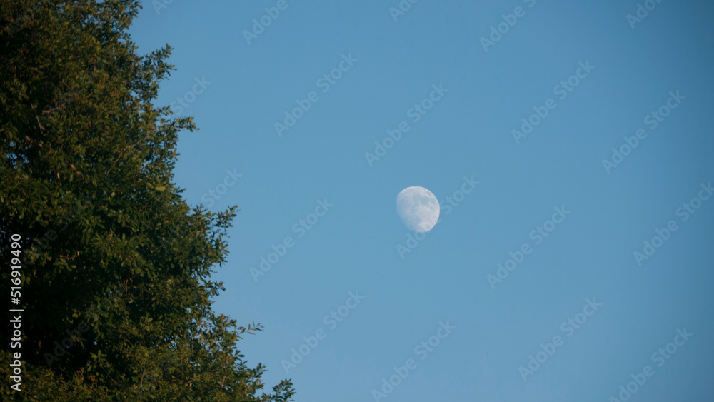 Luna en el cielo sobre árboles y poste eléctrico Luna en el cielo sobre árboles y poste eléctrico