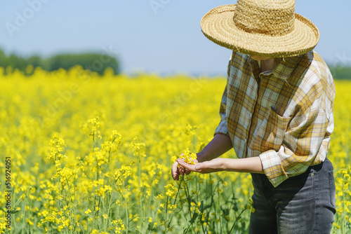 Farmer inspecting flowering oilseed plants in agricultural field.