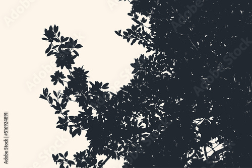 Silhouette Of Magnolia Tree. Vector Illustration.