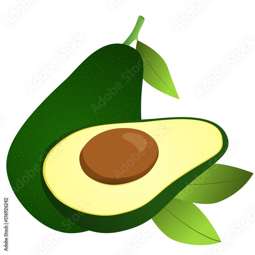  Branch of avocado vector photo