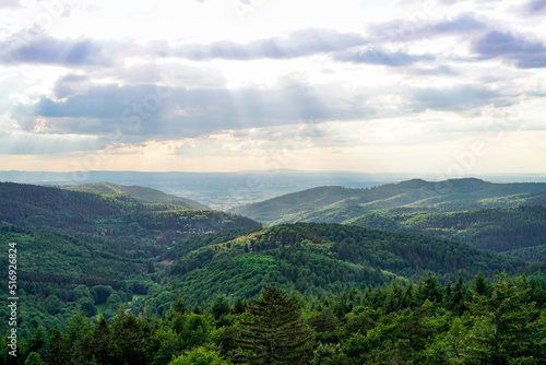 Panoramic view of the hilly landscape near Wilhelmsfeld, in Baden-Württemberg. Green nature with mountains and forests. 
