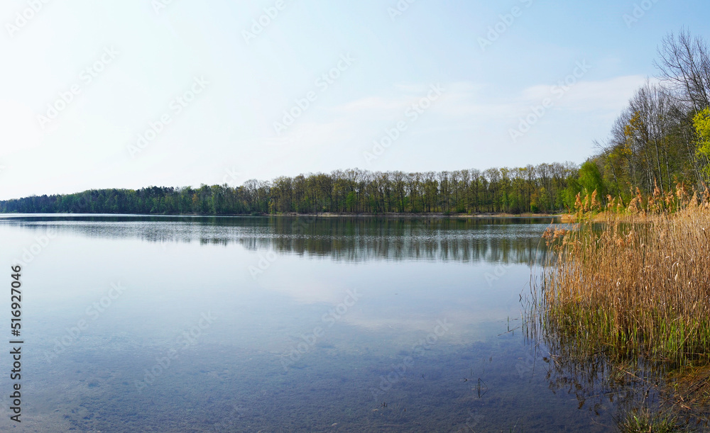 Moritzsee near Naunhof. Bathing lake with surrounding nature in Saxony.
Moritzsee near Naunhof. Bathing lake with surrounding nature in Saxony.