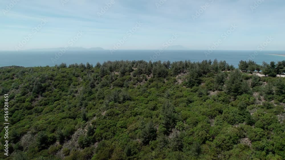 trees, sea and sky. drone moves over trees towards the sea trees, sea and sky. drone moves over trees towards the sea