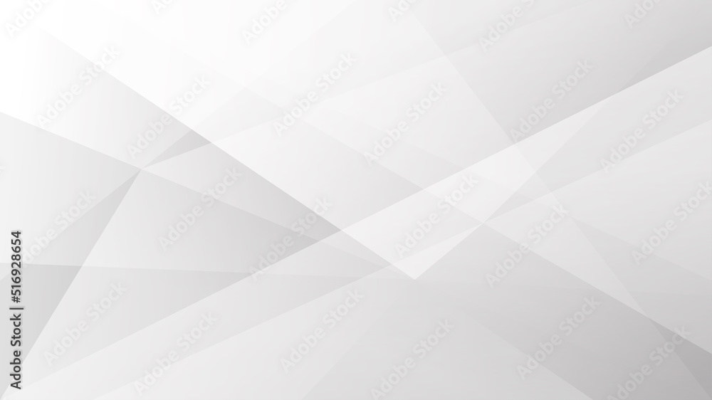 Obraz premium White and grey background Corporate technology modern design Pattern style geometric Abstract modern background used about technology or product presentation backdrop