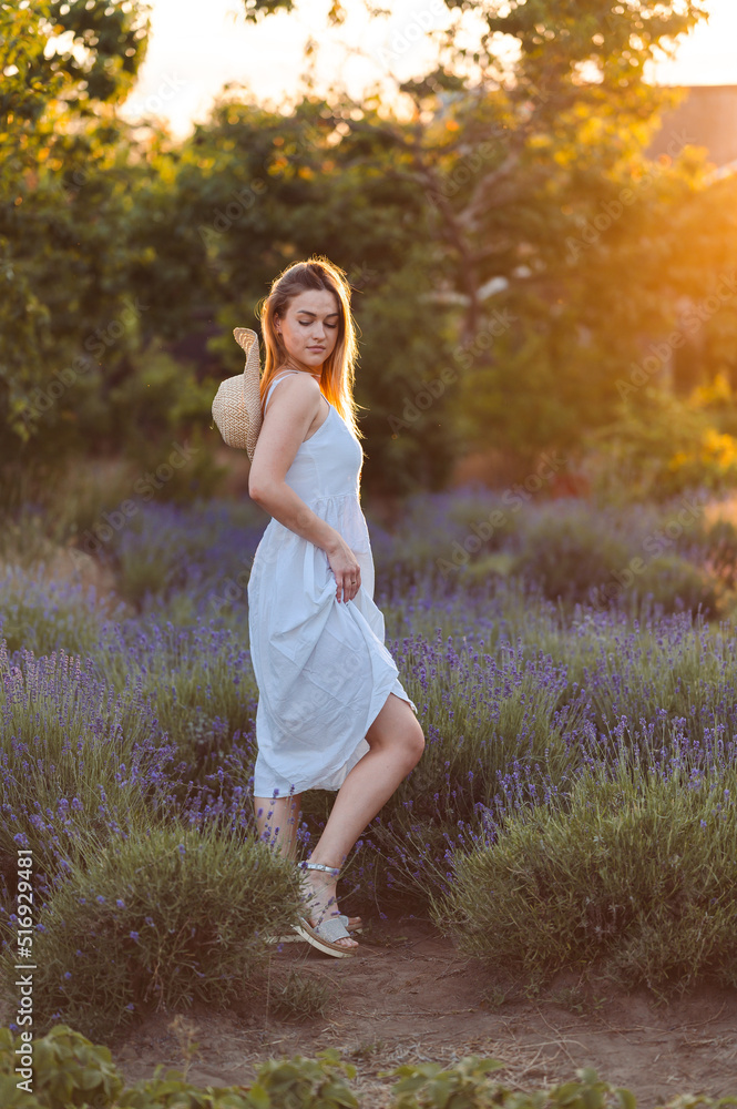 Young Woman Stands in Full Growth in White Sundress. Summer Golden Sunset in Lavender Meadow. Young Woman Stands in Full Growth in White Sundress. Summer Golden Sunset in Lavender Meadow.