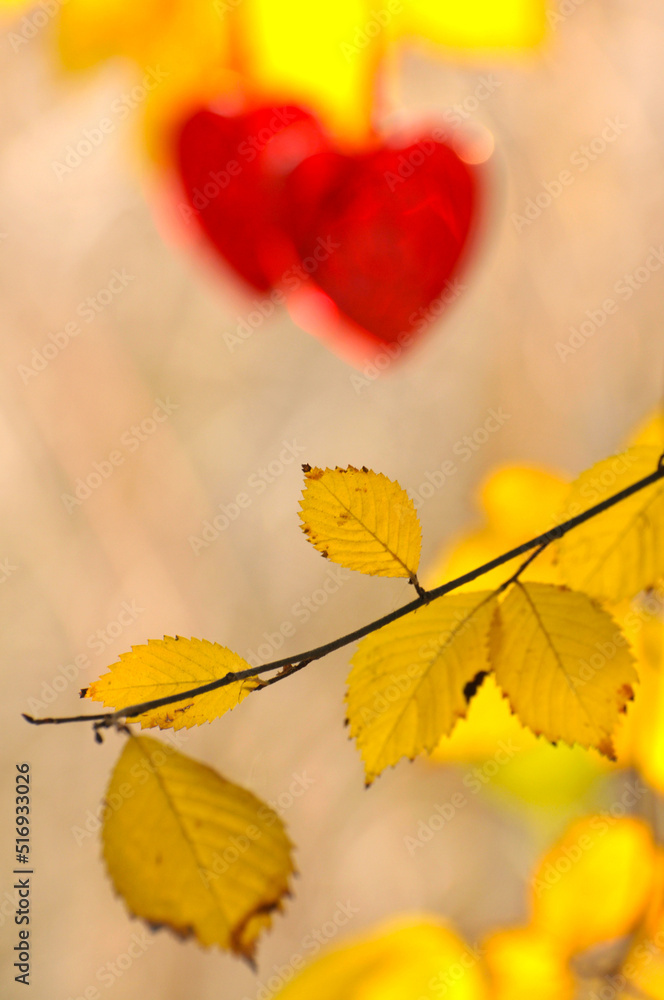 Red heart on autumn background Red heart on autumn background