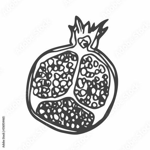 Vector sketch of tropical pomegranate fruit. Round outlines of ripe Garnet isolated on a white background, stock illustration on a horticultural theme. garnet, vector sketch on a white background