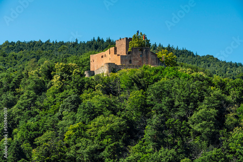 Burg Landeck bei Klingenm  nster