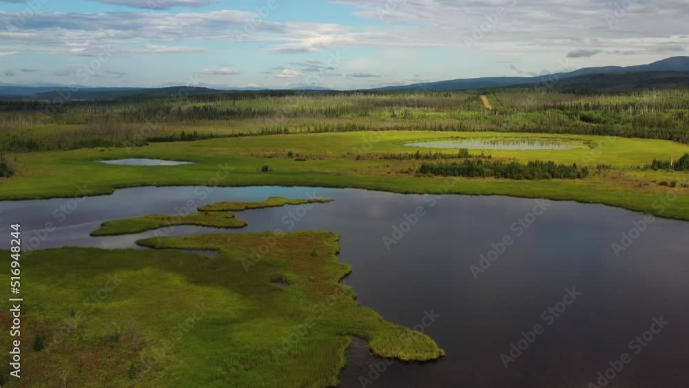 AERIAL: Flying over calm lakes and green meadows with forests and mountains in background in Alaska USA AERIAL: Flying over calm lakes and green meadows with forests and mountains in background in Alaska USA