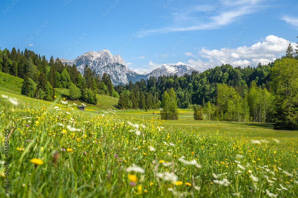 Naklejka premium Idyllic alpine landscape in Austria, Heutal, Unken, Pinzgau, Salzburger Land, Austria, Europe