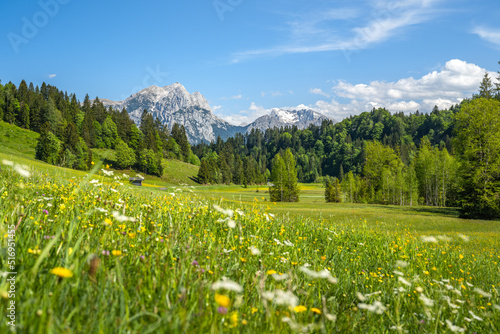 Idyllic alpine landscape in Austria, Heutal, Unken, Pinzgau, Salzburger Land, Austria, Europe photo