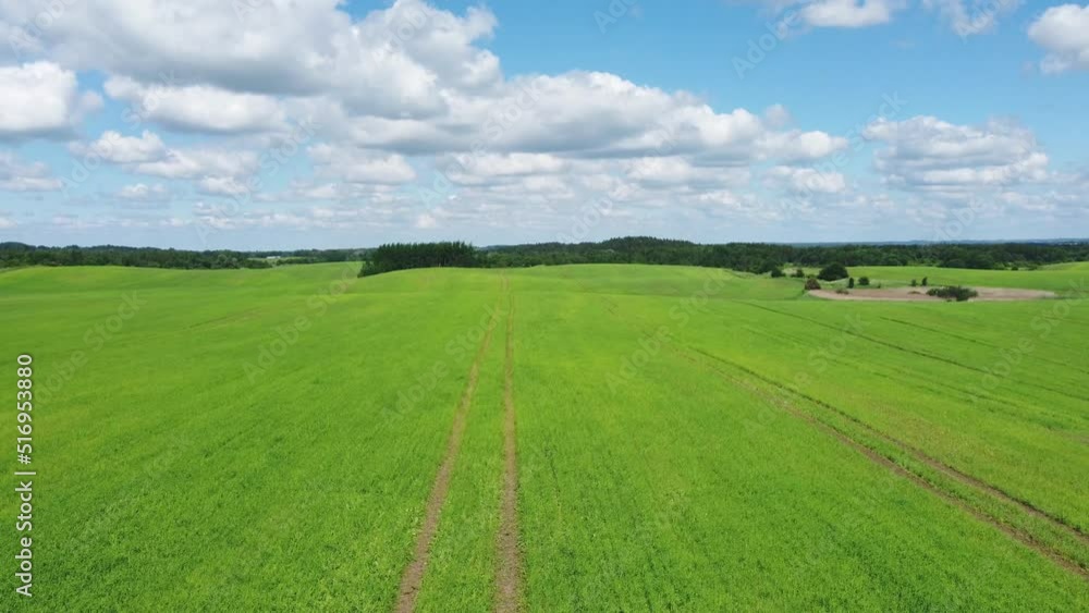 Green agricultural field against cloudy sky Green agricultural field against cloudy sky