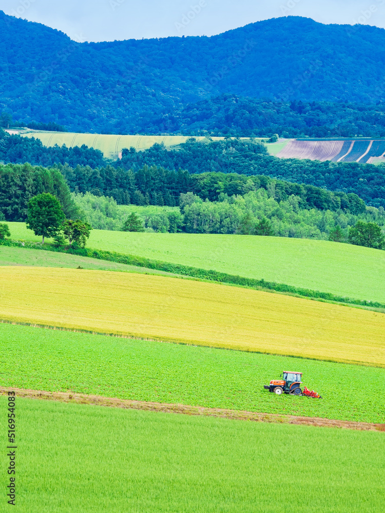 夏の北海道 美瑛