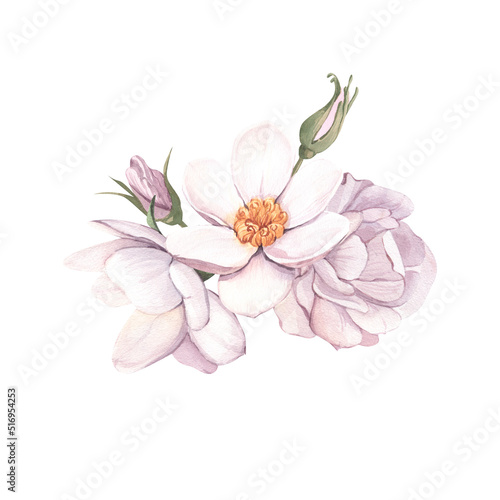 Bouquet composition pink rose, hydrangea, leafs. Perfect for card, postcard, tags, invitation, printing, wrapping, wedding. Designer element, isolated white background.
