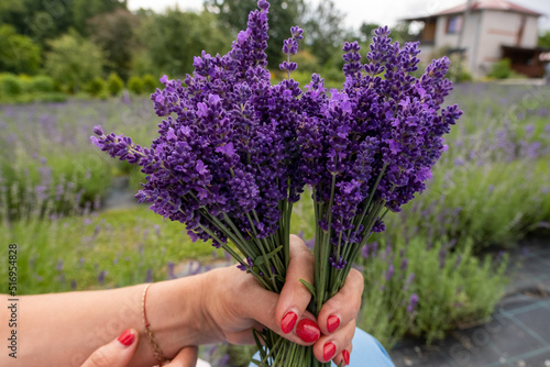 Fototapeta Naklejka Na Ścianę i Meble -  Woman with bouquet of beautiful lavender flowers outdoors, closeup.