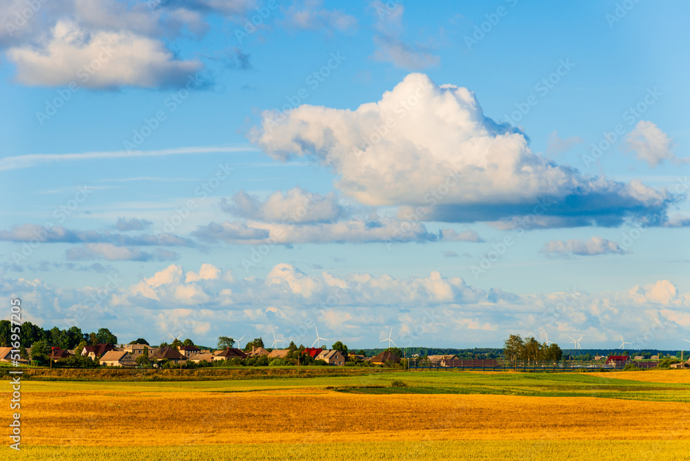 Landscape of a flat field with fresh summer grass.Village, country houses on the background of fields and trees.Houses on yellow field. Landscape of a flat field with fresh summer grass.Village, country houses on the background of fields and trees.Houses on yellow field.