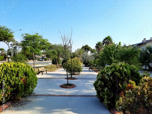 garden in the park