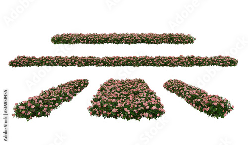 Colorful flower garden on a white background