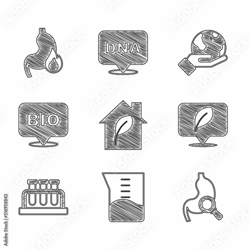 Set Eco friendly house, Laboratory glassware or beaker, Stomach with magnifying, Location leaf, Test tube and flask, Bio healthy food, Hand holding Earth globe and heartburn icon. Vector