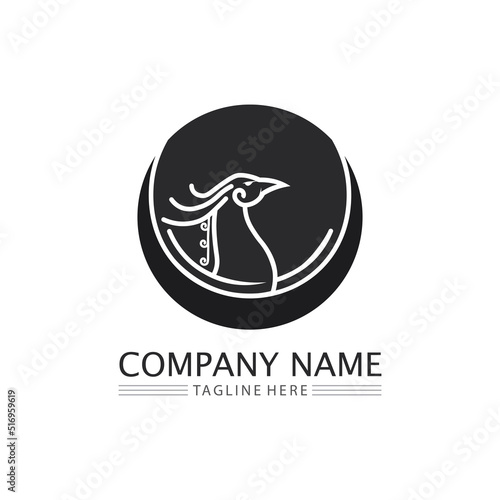 phoenix bird symbol and logo design vector illustration