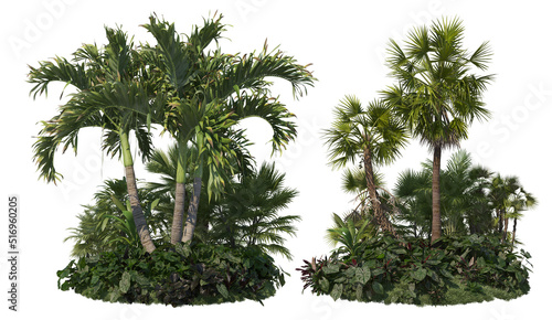 Garden with palm on white background