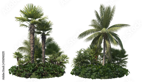 Garden with palm on white background © jomphon