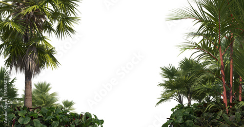 Garden with palm on white background