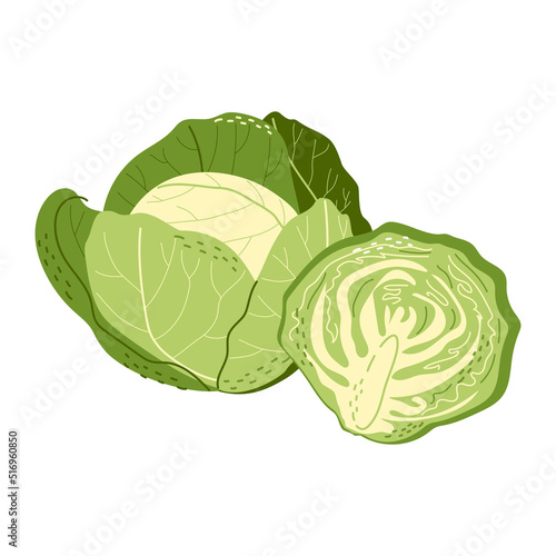 Photo Whole and half white cabbage in a hand-drawn style