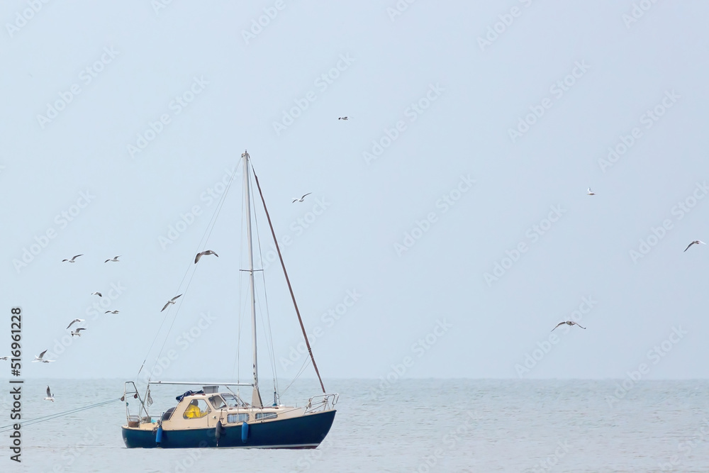sailboat in the sea surrounded by birds