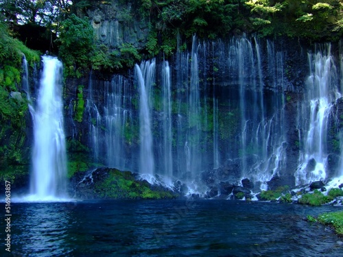Fototapeta Naklejka Na Ścianę i Meble -  静岡県　白糸の滝の風景